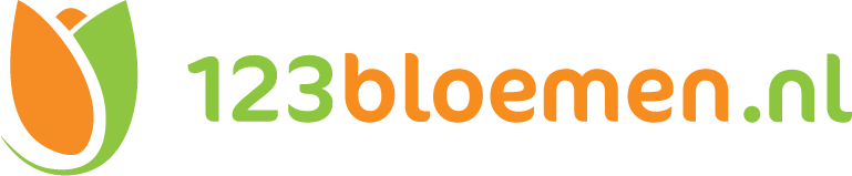 Logo 123Bloemen.nl