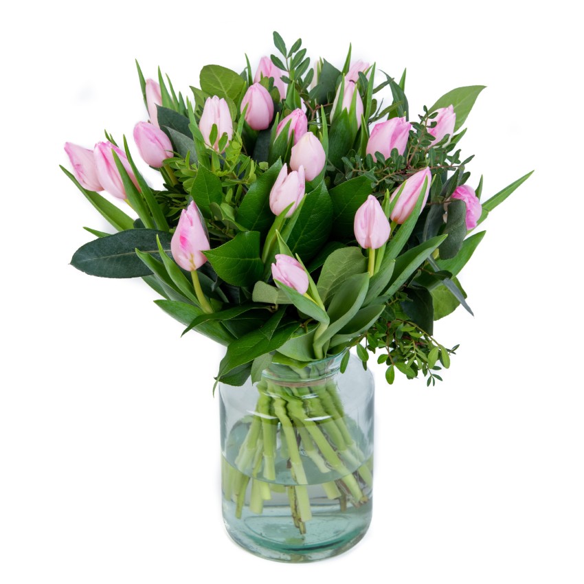 Tulpen Sweet Pink