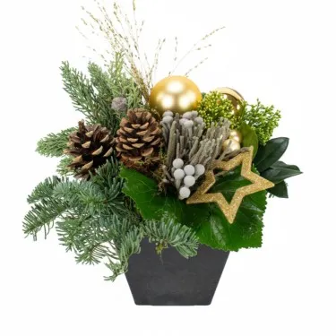 Merry Xmas: goud voor 38,50