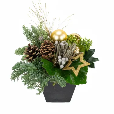 Merry Xmas: goud voor 38,50