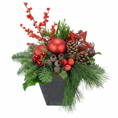 Merry Xmas: rood voor 38,50