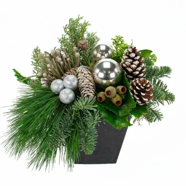 Merry Xmas: zilver voor 38,50