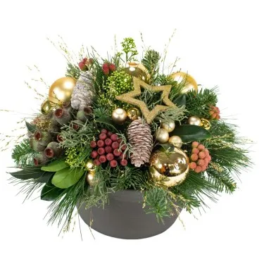 Golden Royaal (30cm) voor 59,95