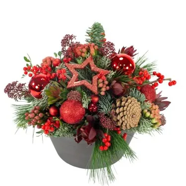 Xmas Rood Royaal (30cm) voor 59,95