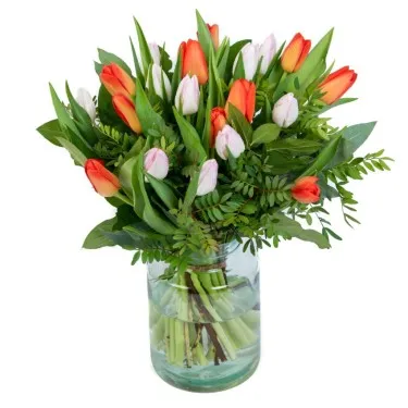 Tulpen Oranje Roze voor 19,95