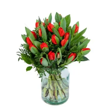 Tulpen boeket rood voor 19,95