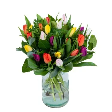 Hollandse tulpen mix voor 19,95